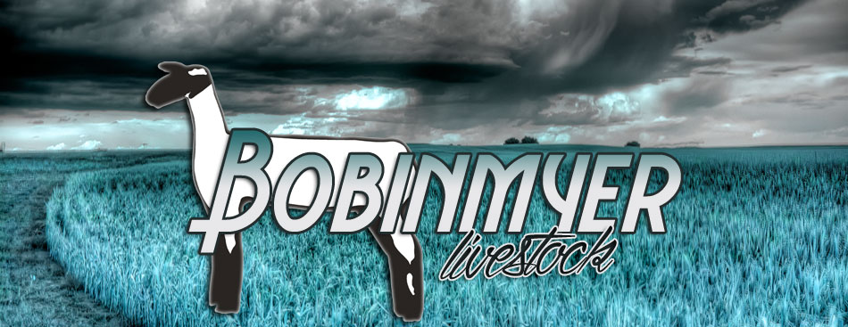 Bobinmyer Livestock 