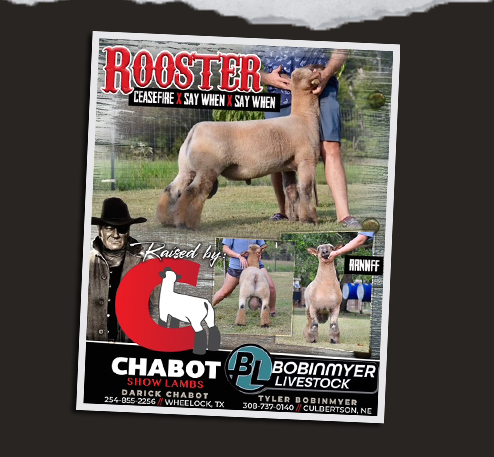 Bobinmyer Livestock  //  Welcome
